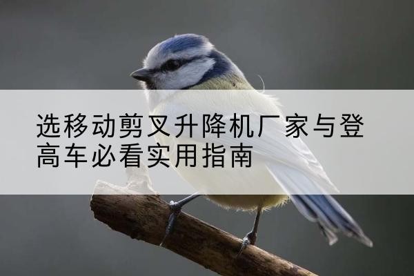 炉霍电动升降机厂家-选移动剪叉升降机厂家与登高车必看实用指南