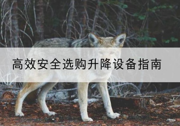 炉霍升降货梯厂家推荐-*安全选购升降设备指南
